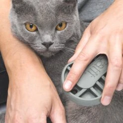 Catit Grooming Kit For Short Haired Cats -Cat Mania Shop Catit Grooming Kit for Short Haired Cats vetshop 4