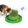 Catit Play Circuit With Ball & Grass Cat Toy -Cat Mania Shop Catit Play Circuit with Ball Grass Cat Toy vetshop 1
