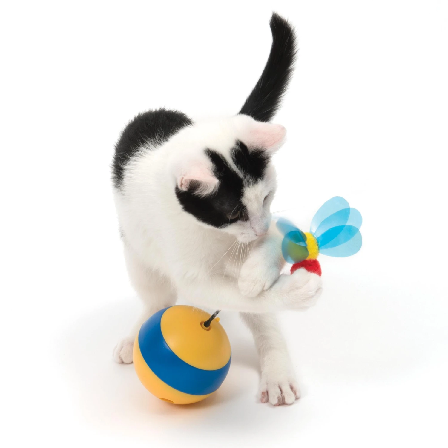 Catit Play Spinning Bee Cat Toy 5 Catit Play Spinning Bee Cat Toy - Image 3