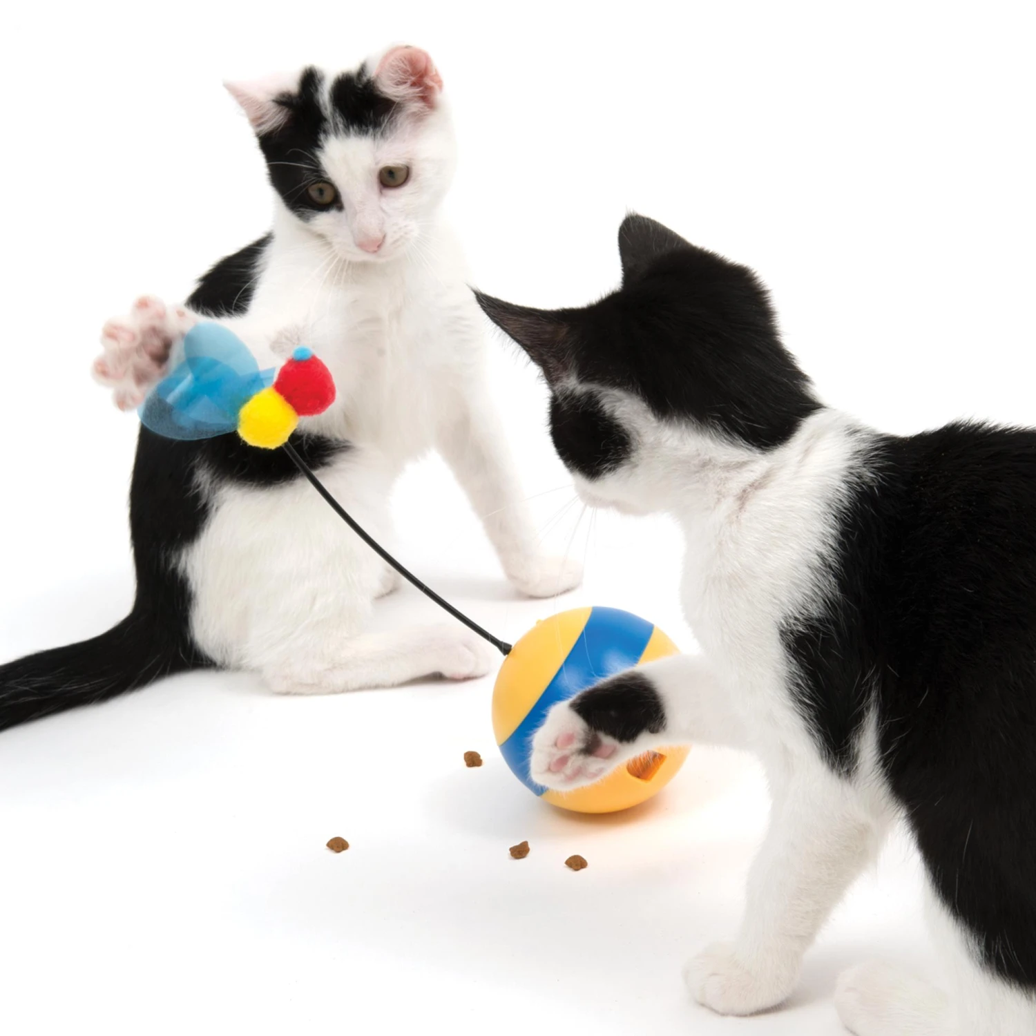 Catit Play Spinning Bee Cat Toy 8 Catit Play Spinning Bee Cat Toy - Image 6
