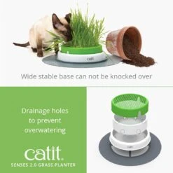 Catit Senses 2.0 Grass Planter -Cat Mania Shop Catit Senses 2.0 Grass Planter vetshop 3