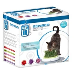 Catit Senses Grass Garden Kit