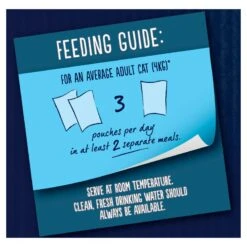 Felix As Good As It Looks Doubly Delicious Meat Cat Pouches - 88 X 100g -Cat Mania Shop Felix As Good As It Looks Doubly Delicious Meat Cat Pouches 88 x 100g vetshop 4