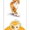 GimCat Multi-Vitamin Paste 200 G 1 GimCat Multi-Vitamin Paste 200 G -Cat Mania Shop GimCat Multi Vitamin Paste 200 g vetshop 1