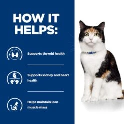 Hill's Prescription Diet Y/d Thyroid Care Dry Cat Food - 3kg -Cat Mania Shop Hills Prescription Diet Feline Y D Dry Cat Food 5Kg vetshop 5