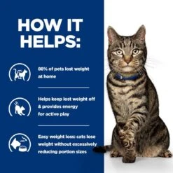 Hill's Prescription Diet Metabolic Weight Management Chicken Cat Food - 12 X 85g -Cat Mania Shop Hills Prescription Diet Metabolic Cat Food Chicken 12 x 85g vetshop 5