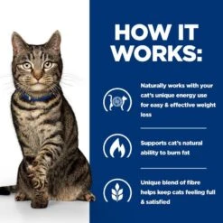 Hill's Prescription Diet Metabolic Weight Management With Chicken Dry Cat Food - 1.5kg 20 Hill's Prescription Diet Metabolic Weight Management With Chicken Dry Cat Food - 1.5kg -Cat Mania Shop Hills Prescription Diet Metabolic Dry Cat Food 1 5kg vetshop 6