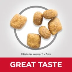 Hills Hill's Science Plan Adult Oral Dry Cat Food - 7kg -Cat Mania Shop Hills Science Plan Adult Oral Dry Cat Food 5kg vetshop 5