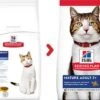 Hills Hill's Science Plan Mature Adult 7+ Active Longevity Chicken Cat Food - 10kg -Cat Mania Shop Hills Science Plan Feline Mature Adult 7 Active Longevity Chicken 10kg vetshop 2