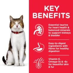 Hills Hill's Science Plan Mature Adult 7+ Active Longevity Chicken Cat Food - 1.5kg 9 Hills Hill's Science Plan Mature Adult 7+ Active Longevity Chicken Cat Food - 1.5kg -Cat Mania Shop Hills Science Plan Feline Mature Adult 7 Active Longevity Chicken 2kg vetshop 3