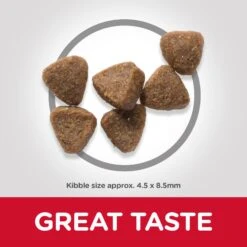 Hills Hill's Science Plan Kitten Tuna Dry Cat Food -1.5Kg -Cat Mania Shop Hills Science Plan Kitten Tuna Dry Cat Food 2Kg vetshop 5