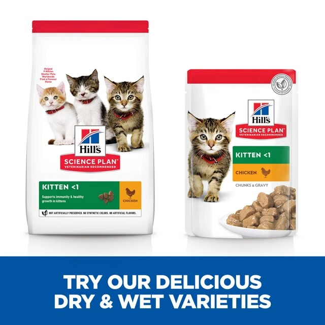 Hills Hill's Science Plan Kitten Wet Multipack Chicken & Turkey Flavour - 48x85g 4 Hills Hill's Science Plan Kitten Wet Multipack Chicken & Turkey Flavour - 48x85g - Image 2