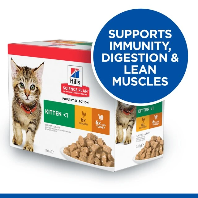 Hills Hill's Science Plan Kitten Wet Multipack Chicken & Turkey Flavour - 48x85g 7 Hills Hill's Science Plan Kitten Wet Multipack Chicken & Turkey Flavour - 48x85g - Image 5