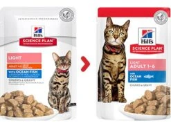 Hills Hill's Science Plan Light Fish Multipack Cat Pouches - 12 X 85g 9 Hills Hill's Science Plan Light Fish Multipack Cat Pouches - 12 X 85g -Cat Mania Shop Hills Science Plan Light Fish 12Pack Cat Food 85G vetshop 2
