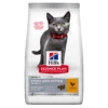 Hills Hill's Science Plan Sterilised Kitten Dry Food Chicken - 7 Kg -Cat Mania Shop Hills Science Plan Sterilised Kitten Dry Food Chicken 7 kg vetshop 1