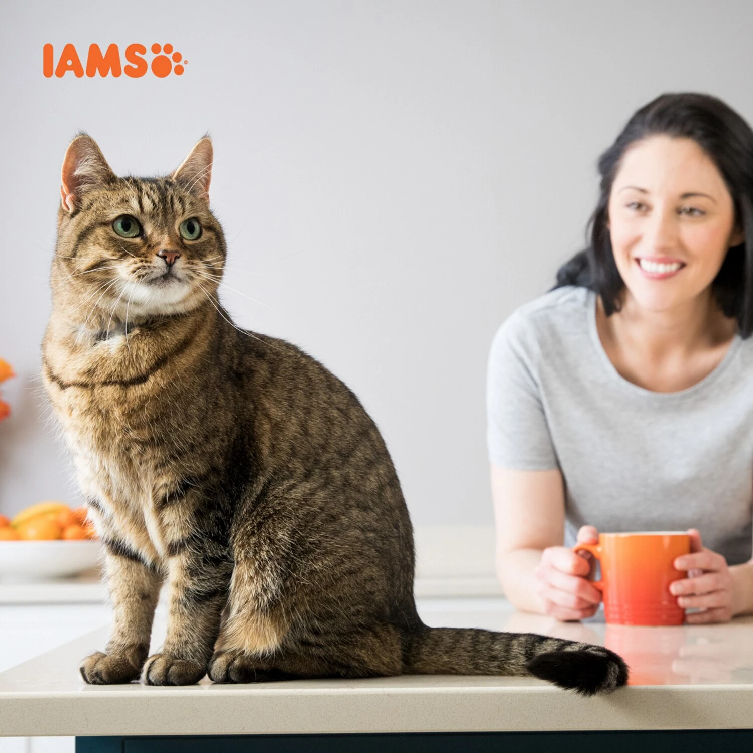 Iams For Vitality Dental Care With Chicken Adult Dry Cat Food - 10kg 8 Iams For Vitality Dental Care With Chicken Adult Dry Cat Food - 10kg - Image 6