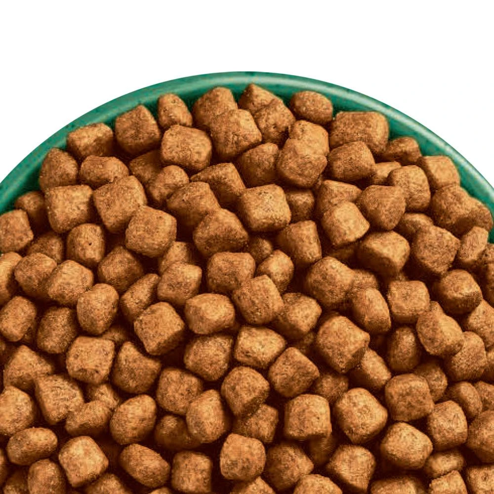 James Wellbeloved Oral Health Adult Complete Dry Cat Food Turkey - 4kg 4 James Wellbeloved Oral Health Adult Complete Dry Cat Food Turkey - 4kg - Image 2