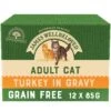 James Wellbeloved Adult Grain Free Turkey In Gravy Wet Cat Food Pouches - 12 X 85g -Cat Mania Shop James Wellbeloved Turkey Adult Cat Pouch 12 x 85g vetshop 1