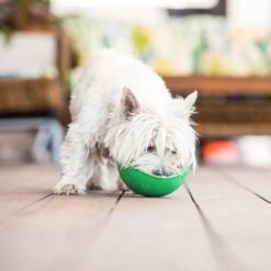 Lickimat Wobble Green -Cat Mania Shop Lickimat Wobble Green vetshop 3