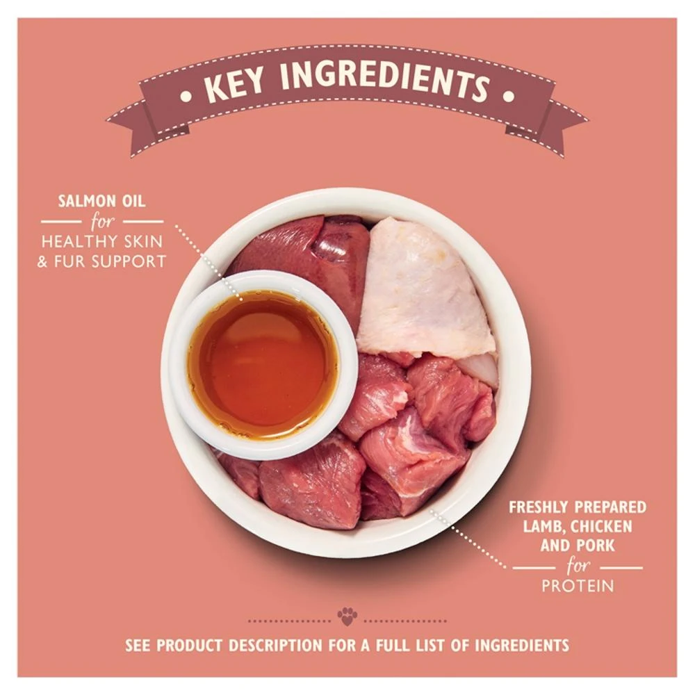 Lily's Kitchen Smooth Lamb Pate Wet Cat Food Trays - 19 X 85g 4 Lily's Kitchen Smooth Lamb Pate Wet Cat Food Trays - 19 X 85g - Image 2