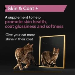 PRO PLAN Cat Adult And Senior Skin And Coat Supplement Oil - 250ml -Cat Mania Shop PRO PLAN Cat Adult And Senior Skin And Coat Supplement Oil 250ml vetshop 4