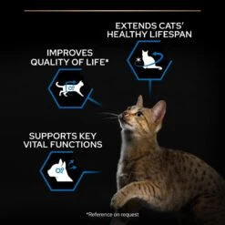 Pro Plan Senior Adult 7+ Salmon Dry Cat Food - 3kg -Cat Mania Shop PRO PLAN Original Senior longevis Salmon Dry Cat Food 3kg vetshop 6