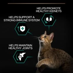 Pro Plan Healthy Kidneys Adult Chicken Dry Cat Food - 1.5kg -Cat Mania Shop Pro Plan Adult Chicken Rice Cat Dry Food 1 5kg vetshop 6