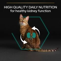 Pro Plan Healthy Kidneys Adult Chicken Dry Cat Food - 1.5kg -Cat Mania Shop Pro Plan Adult Chicken Rice Cat Dry Food 1 5kg vetshop 7