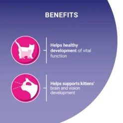 Purina One Chicken And Whole Grain Junior/Kitten Dry Cat Food - 2.8kg -Cat Mania Shop Purina ONE Adult Kitten Junior Food Chicken and Whole Grain Dry Cat Food 2.8KG vetshop 3