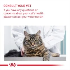 Royal Canin Adult Digest Sensitive Care In Gravy Wet Cat Food Pouches - 48 X 85g 17 Royal Canin Adult Digest Sensitive Care In Gravy Wet Cat Food Pouches - 48 X 85g -Cat Mania Shop Royal Canin Adult Digest Sensitive Care in Gravy Wet Cat Food Pouches 48 x 85g vetshop 9