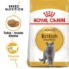 Royal Canin Adult British Shorthair Dry Cat Food - 2kg -Cat Mania Shop Royal Canin British Shorthair Dry Cat Food 2kg vetshop 1