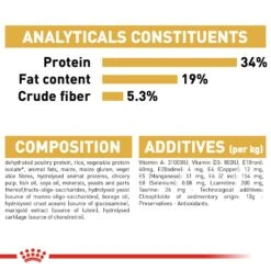 Royal Canin Adult British Shorthair Dry Cat Food - 2kg -Cat Mania Shop Royal Canin British Shorthair Dry Cat Food 2kg vetshop 2