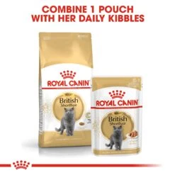 Royal Canin Adult British Shorthair Dry Cat Food - 2kg -Cat Mania Shop Royal Canin British Shorthair Dry Cat Food 2kg vetshop 4