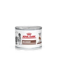 Royal Canin Veterinary Diet Canine/Feline Recovery Wet Cat/Dog Food - 12 X 195g