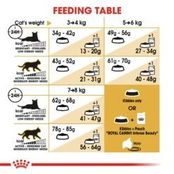Royal Canin Feline Adult Ragdoll Dry Cat Food - 10kg -Cat Mania Shop Royal Canin Feline Adult Ragdoll Dry Cat Food 10kg vetshop 3