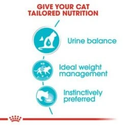 Royal Canin Feline Care Nutrition Urinary Care Wet Cat Food In Gravy - 48x85g -Cat Mania Shop Royal Canin Feline Care Nutrition Urinary Care Wet Cat Food In Gravy 48x85g vetshop 3