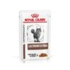 Royal Canin Veterinary Diet Feline Gastrointestinal Wet Cat Food Pouches - 48 X 85g -Cat Mania Shop Royal Canin Feline Gastro Intestinal Recovery Wet Cat Food 48 x 100G vetshop 1