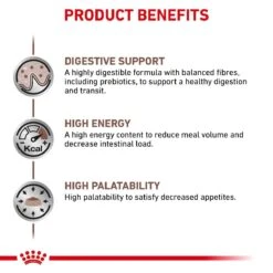 Royal Canin Veterinary Diet Feline Gastrointestinal S/O Dry Cat Food - 2kg -Cat Mania Shop Royal Canin Feline Gastro Intestinal S O Dry Cat Food 2Kg vetshop 5