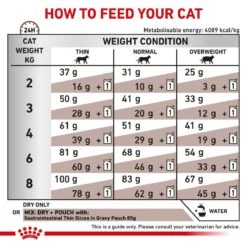 Royal Canin Veterinary Diet Feline Gastrointestinal S/O Dry Cat Food - 2kg -Cat Mania Shop Royal Canin Feline Gastro Intestinal S O Dry Cat Food 2Kg vetshop 7