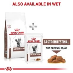 Royal Canin Veterinary Diet Feline Gastrointestinal S/O Dry Cat Food - 2kg -Cat Mania Shop Royal Canin Feline Gastro Intestinal S O Dry Cat Food 2Kg vetshop 9