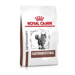 Royal Canin Veterinary Diet Feline Gastro-Intestinal S/O Dry Cat Food - 4kg