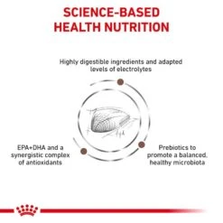 Royal Canin Veterinary Diet Feline Gastro-Intestinal S/O Dry Cat Food - 4kg -Cat Mania Shop Royal Canin Feline Gastro Intestinal S O Dry Cat Food 4Kg vetshop 4