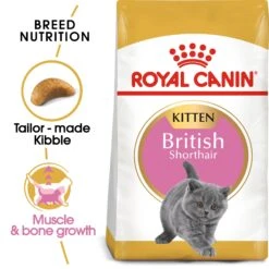 Royal Canin Kitten British Shorthair Dry Cat Food - 2kg