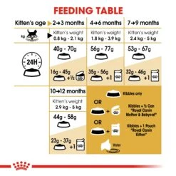 Royal Canin Kitten British Shorthair Dry Cat Food - 2kg -Cat Mania Shop Royal Canin Feline Kitten British Shorthair Dry Cat Food 2kg vetshop 4