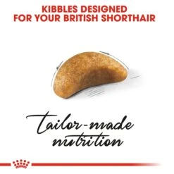 Royal Canin Kitten British Shorthair Dry Cat Food - 2kg -Cat Mania Shop Royal Canin Feline Kitten British Shorthair Dry Cat Food 2kg vetshop 5