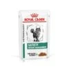Royal Canin Veterinary Diet Feline Satiety Weight Management Wet Cat Food - 48 X 85g -Cat Mania Shop Royal Canin Feline Obesity Management S O Wet Cat Food 48 x 100G vetshop 1
