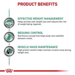 Royal Canin Veterinary Diet Feline Satiety Weight Management Wet Cat Food - 48 X 85g -Cat Mania Shop Royal Canin Feline Obesity Management S O Wet Cat Food 48 x 100G vetshop 4