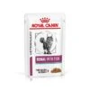 Royal Canin Veterinary Diet Feline Adult Renal Care With FIsh Wet Cat Food - 48 X 85G 1 Royal Canin Veterinary Diet Feline Adult Renal Care With FIsh Wet Cat Food - 48 X 85G -Cat Mania Shop Royal Canin Feline Renal Tuna Wet Cat Food 48 x 85G vetshop 1