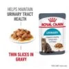 Royal Canin Feline Adult Urinary Care In Gravy Wet Cat Food Pouches - 12 X 85g -Cat Mania Shop Royal Canin Feline Urinary Care in Gravy Cat Food Pouches 12 x 85g vetshop 1