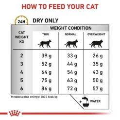 Royal Canin Veterinary Diet Feline Adult Urinary S/O Dry Cat Food - 3.5kg -Cat Mania Shop Royal Canin Feline Urinary S O Dry Cat Food 3 5Kg vetshop 5